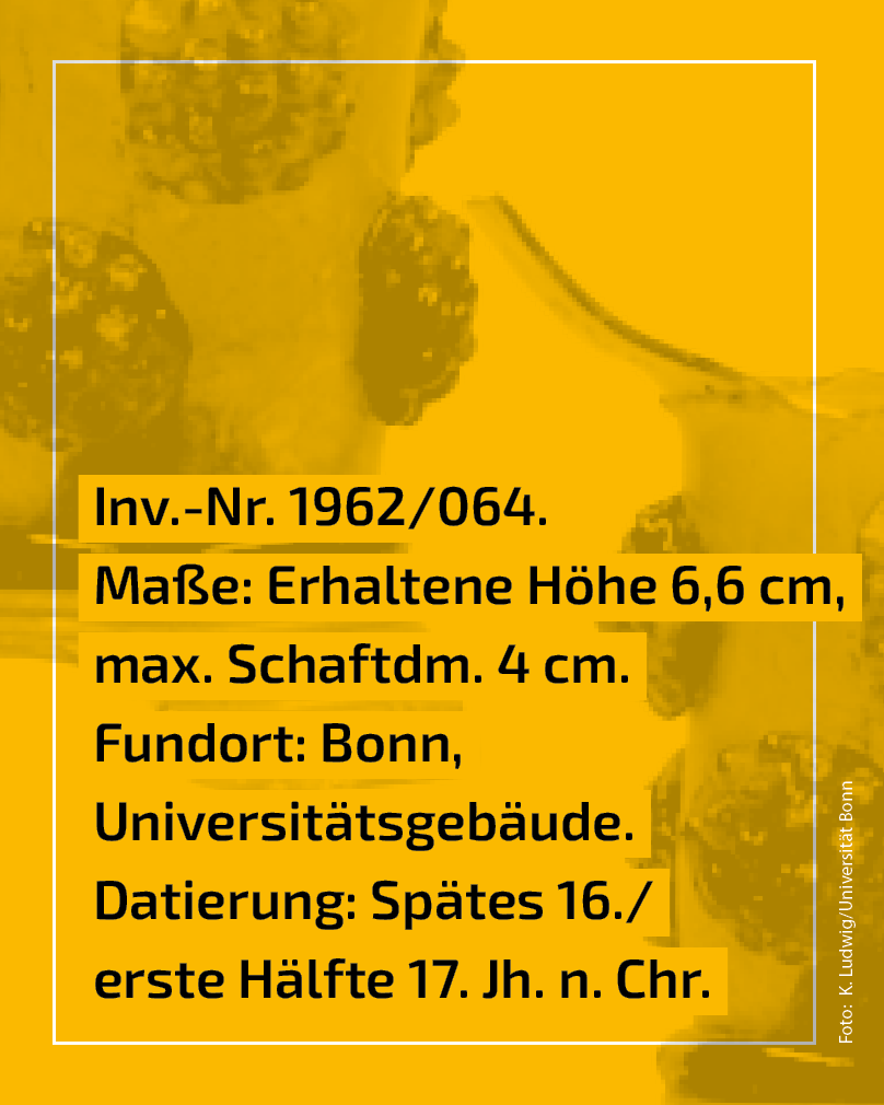 Fund des Monats_Beerennoppen2.png