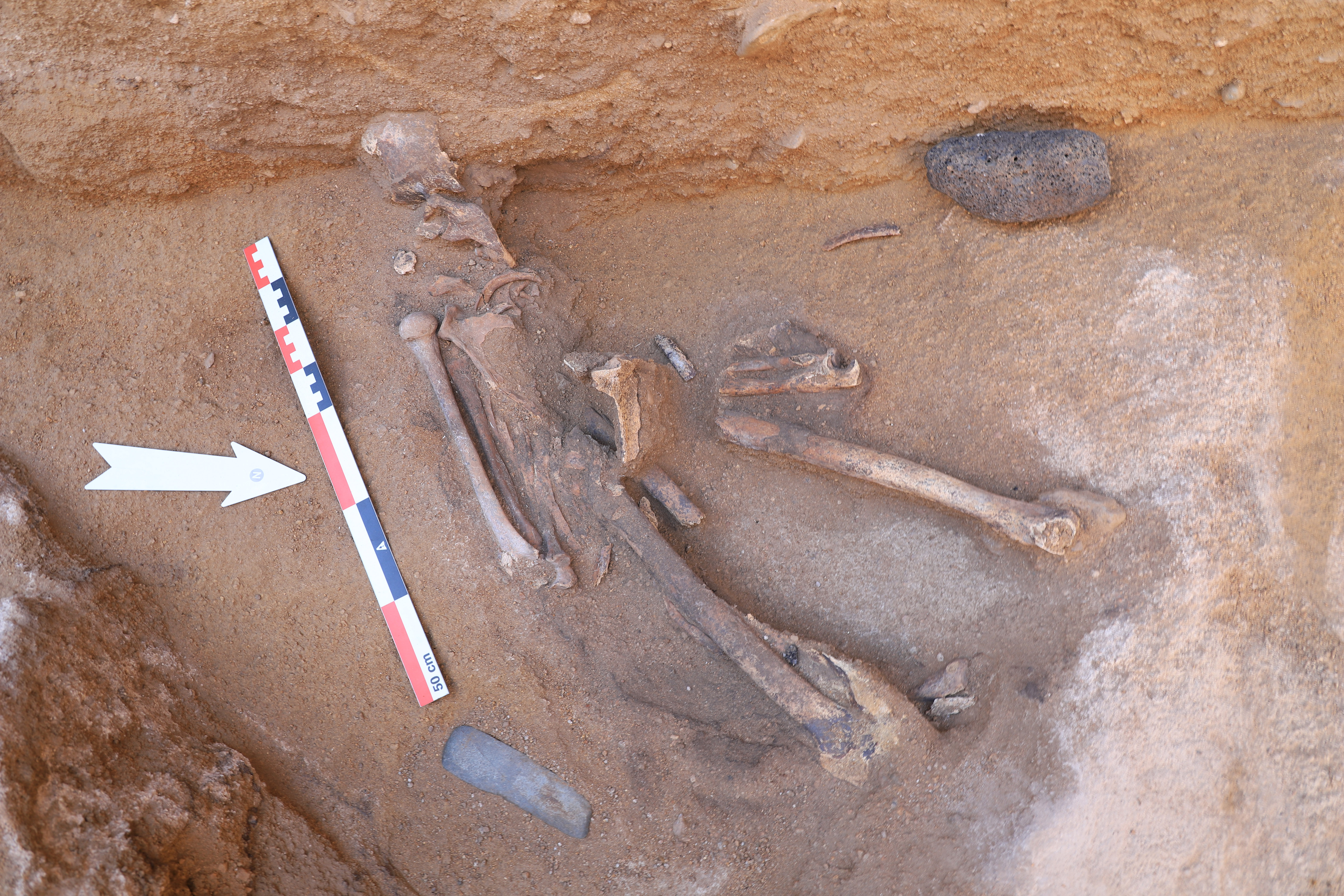 Fig9_burial.jpg