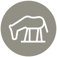 Social ICons-Pferd.png