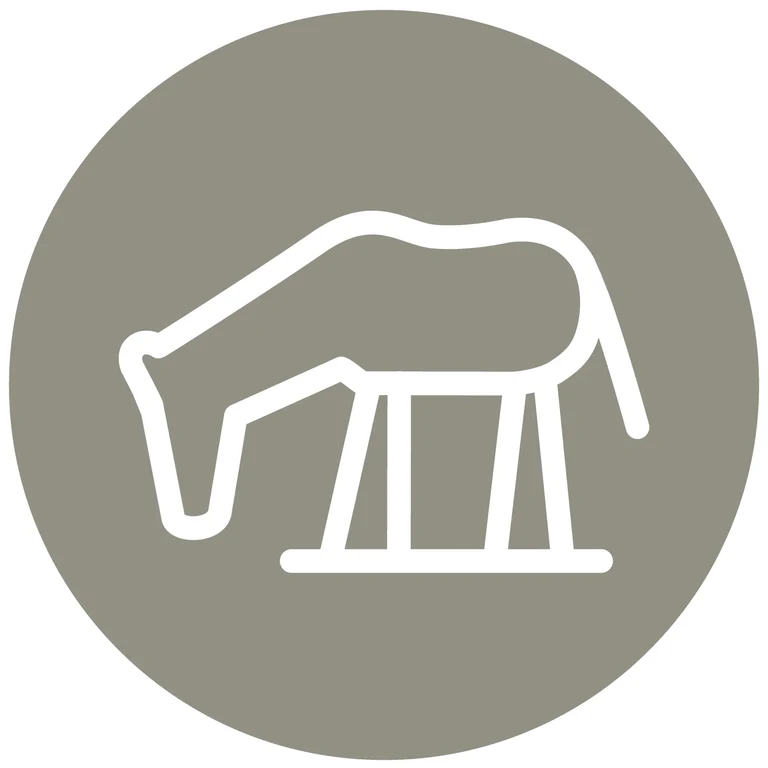 Social ICons-Pferd.png