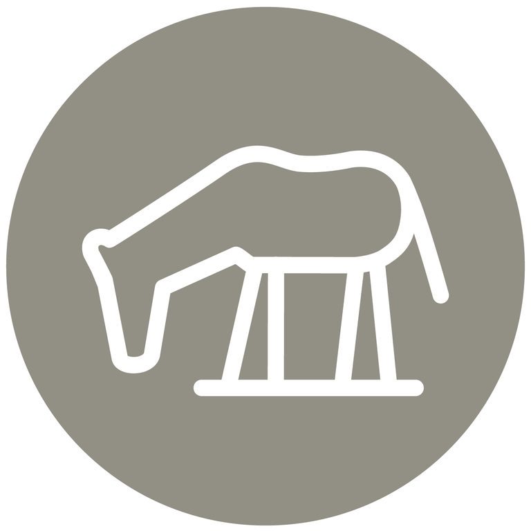 Social ICons-Pferd.png