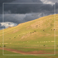 Aktuelles aus der Mongolie - September3.png