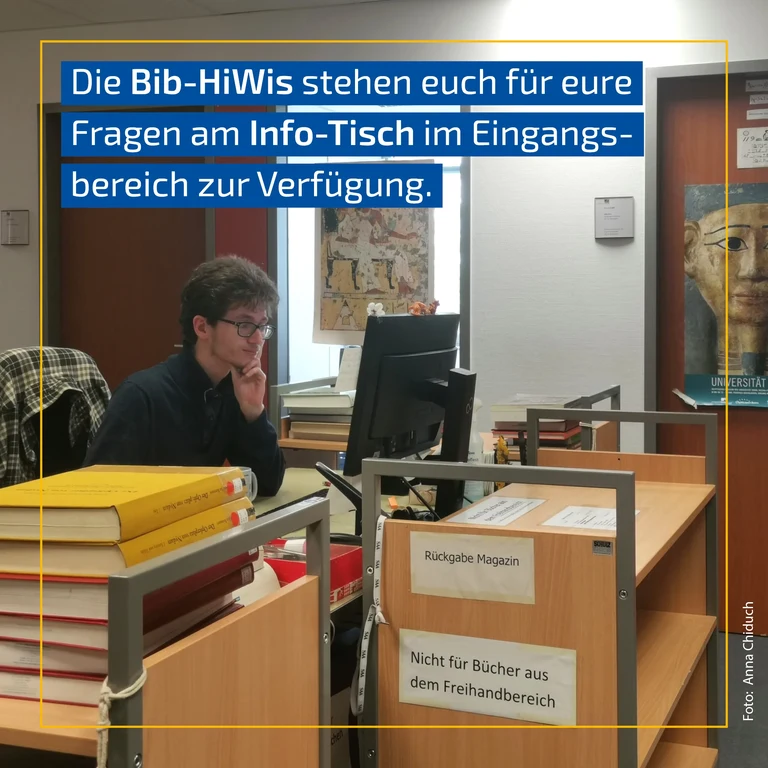 Bibliotheksguide5.png