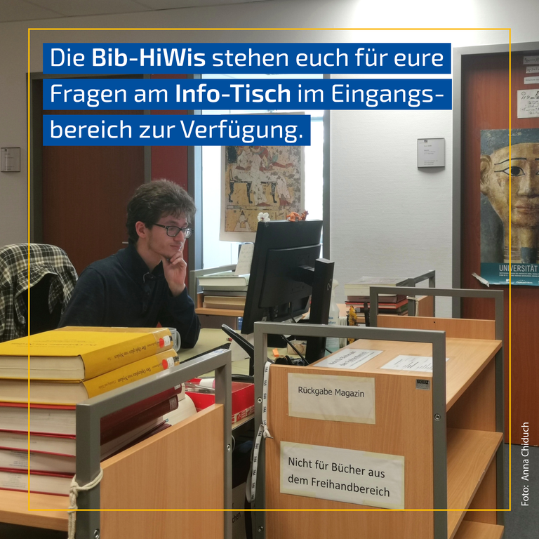 Bibliotheksguide5.png