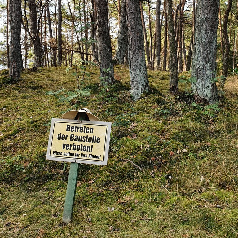 Bild_1.jpg