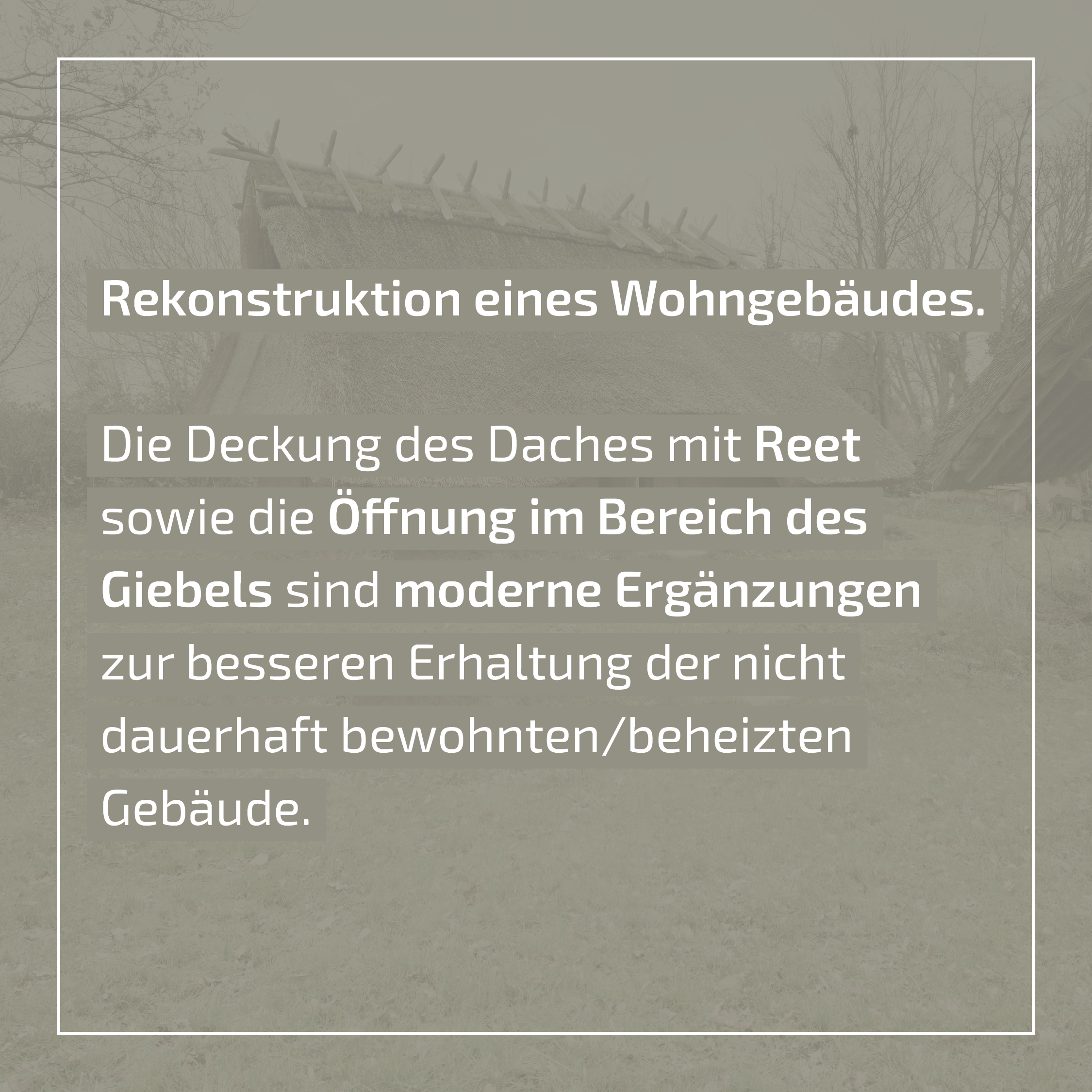 Fundplatz des Monats_Titz5.png