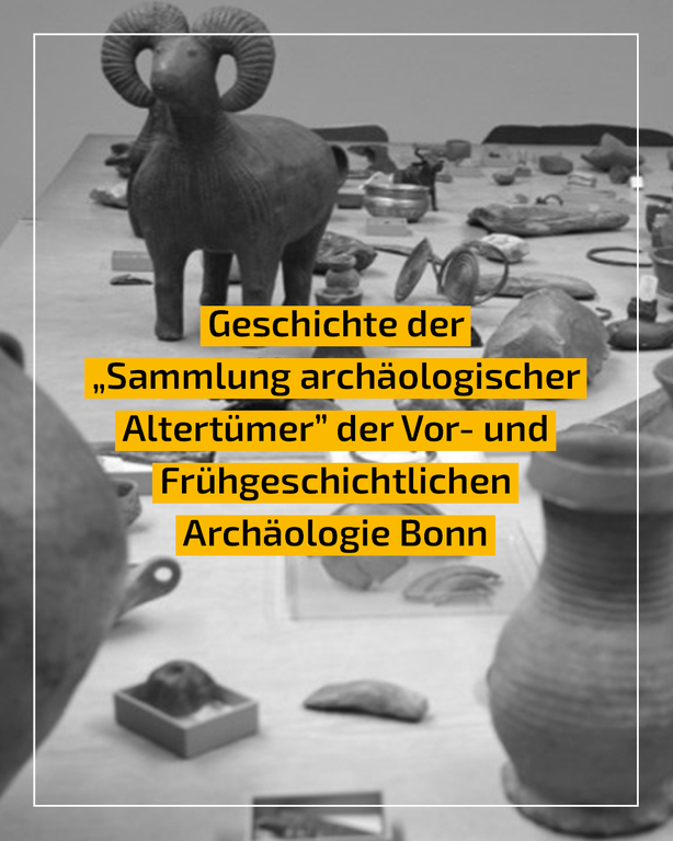 Geschichte der Sammlung.png