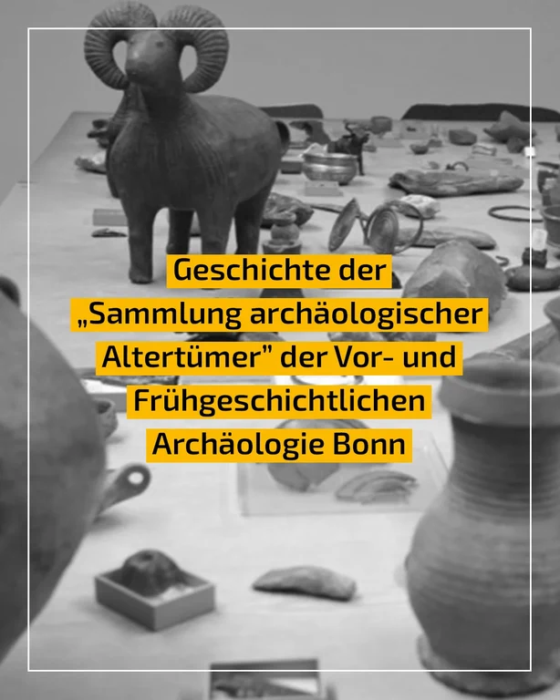 Geschichte der Sammlung.png