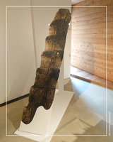 Landesmuseum4.png