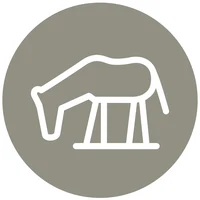 Social ICons-Pferd.webp