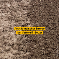 Survey_Soller.png