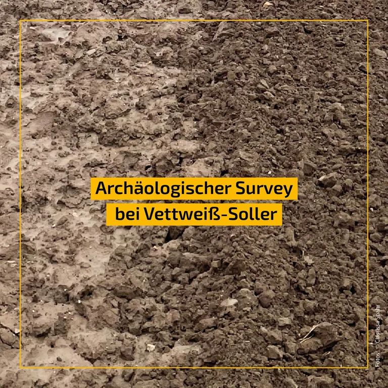 Survey_Soller.png