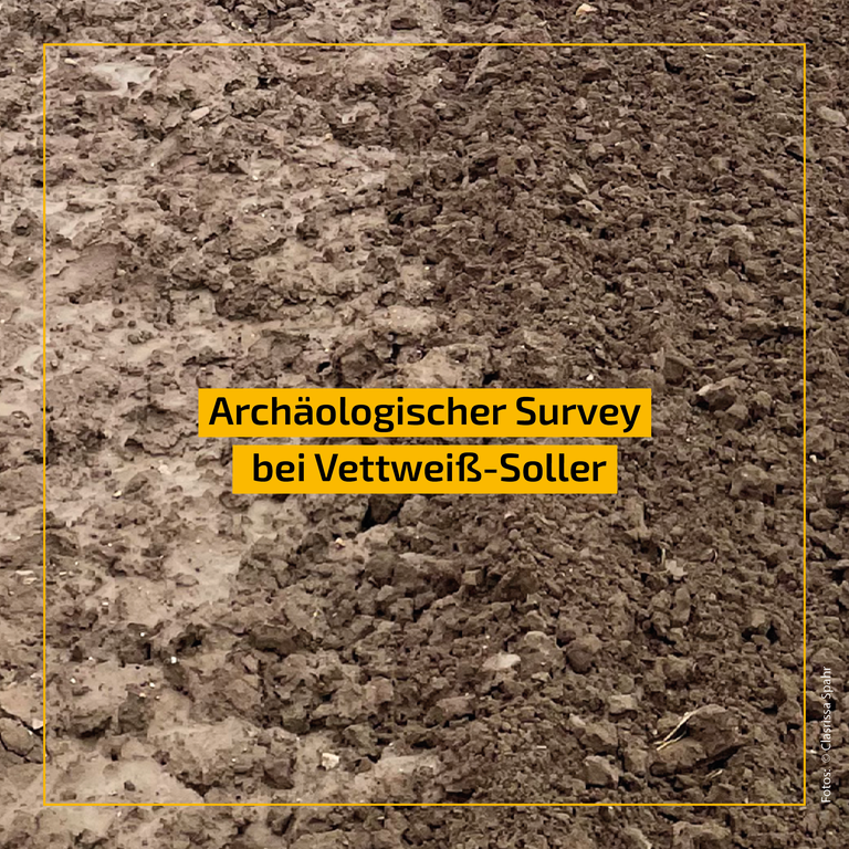 Survey_Soller.png