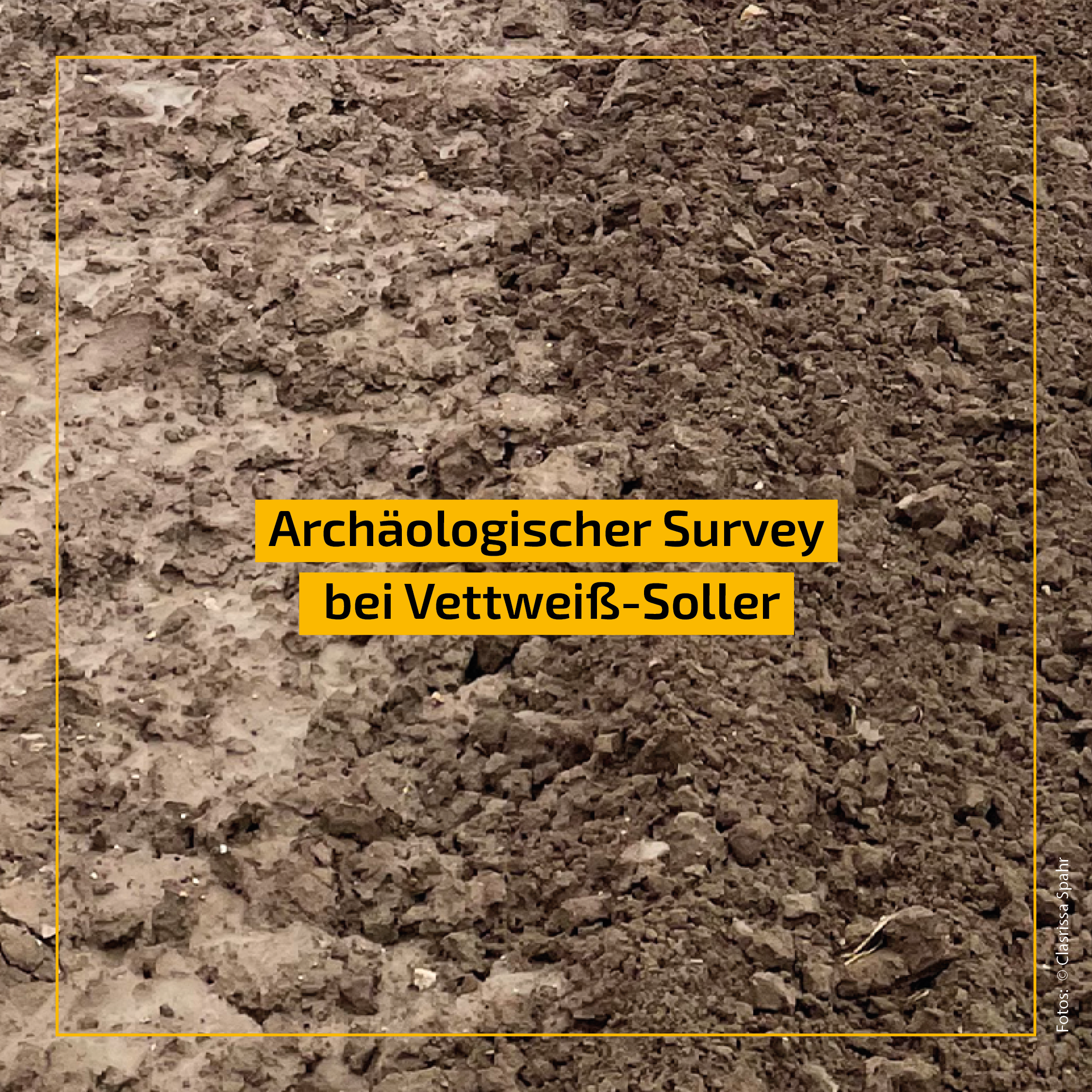 Survey_Soller.png