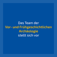 VFG Team LAyout.png