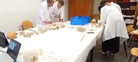 Lab.png