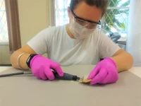 Bone_sampling.jpg