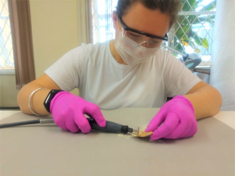 Bone_sampling.jpg