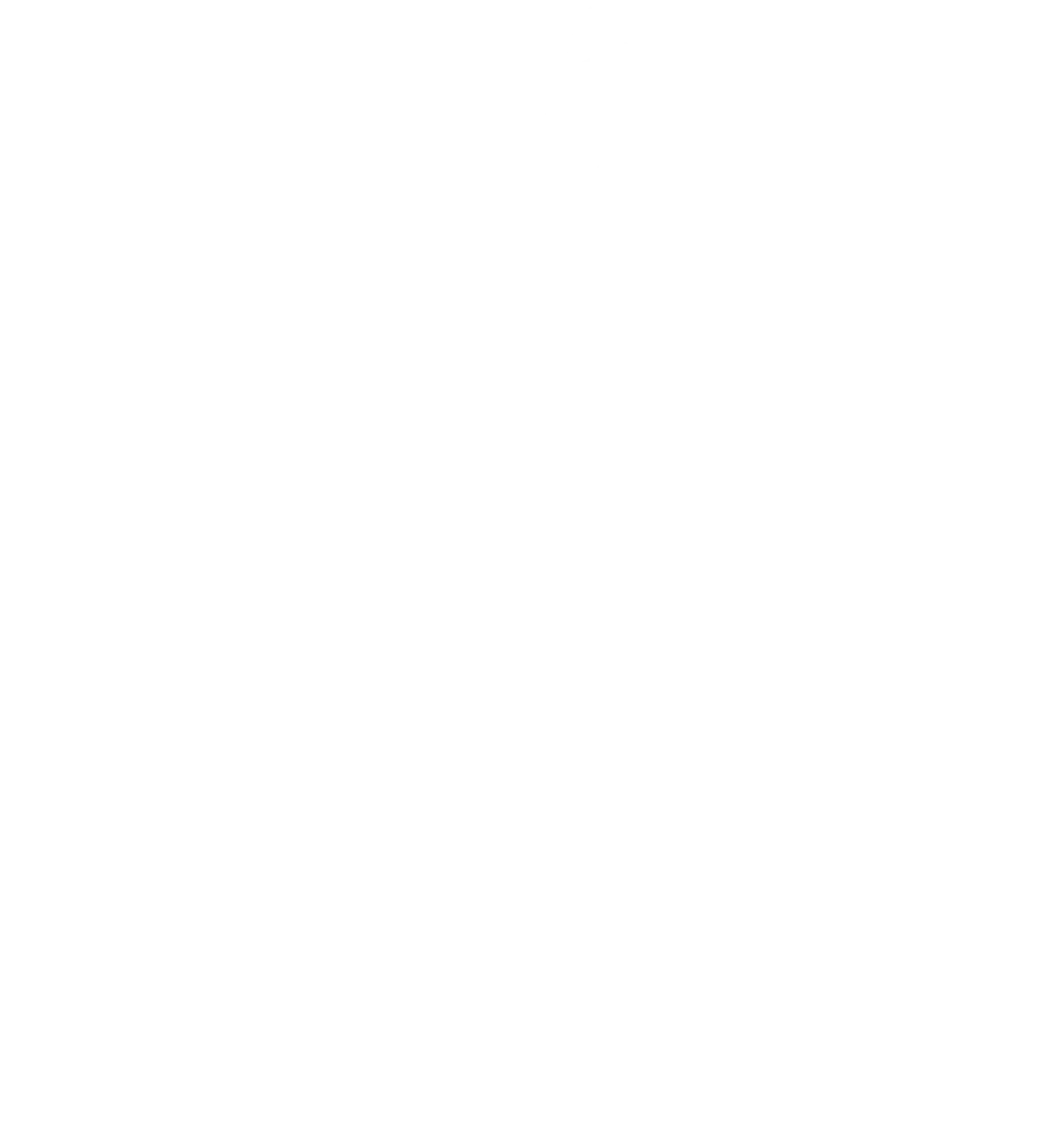 Lama_Logo_weiß_Altamerikanistik Ethnologie Uni Bonn.png