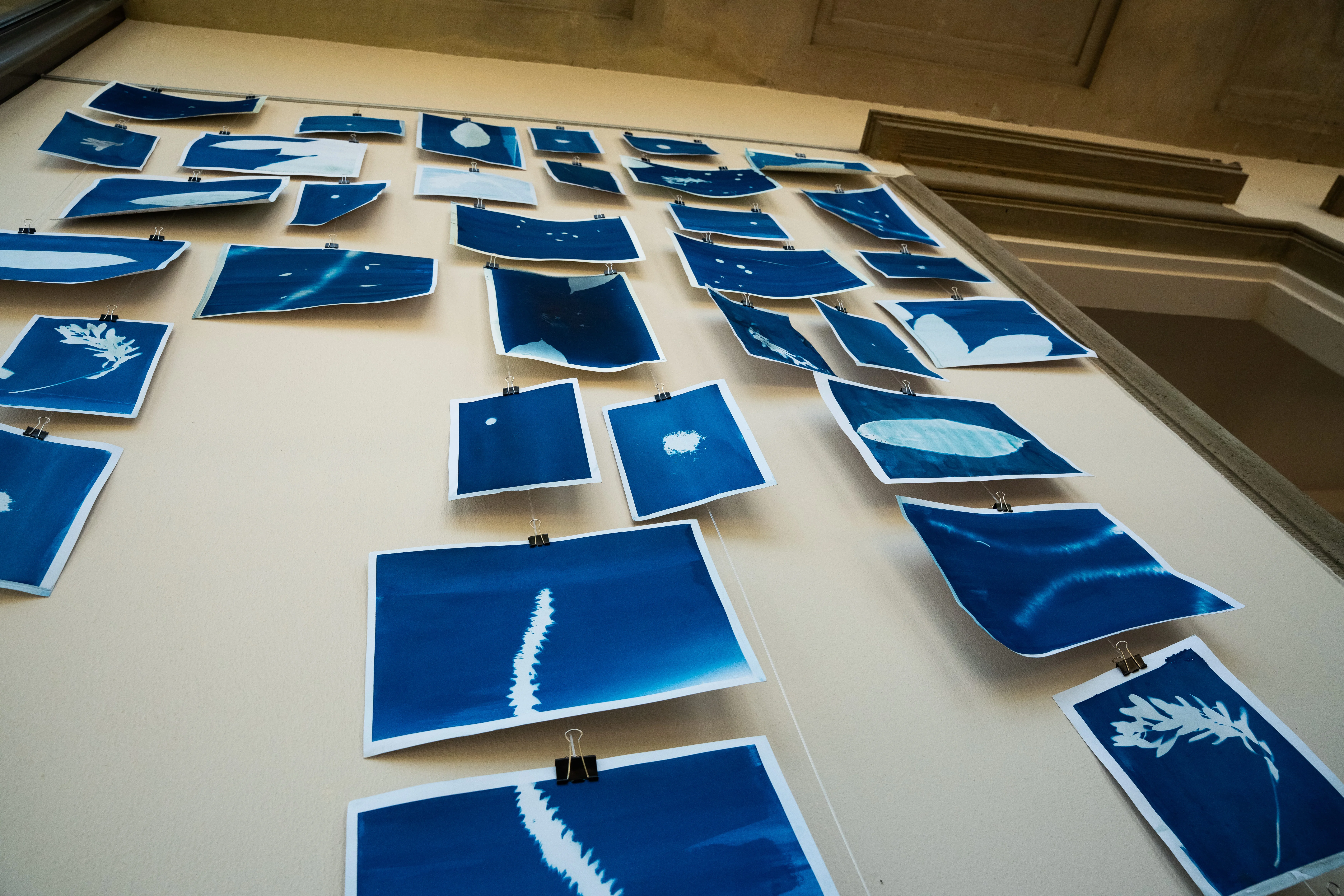 Botanic Futures (28).webp