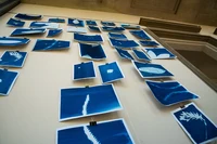 Botanic Futures (28).webp