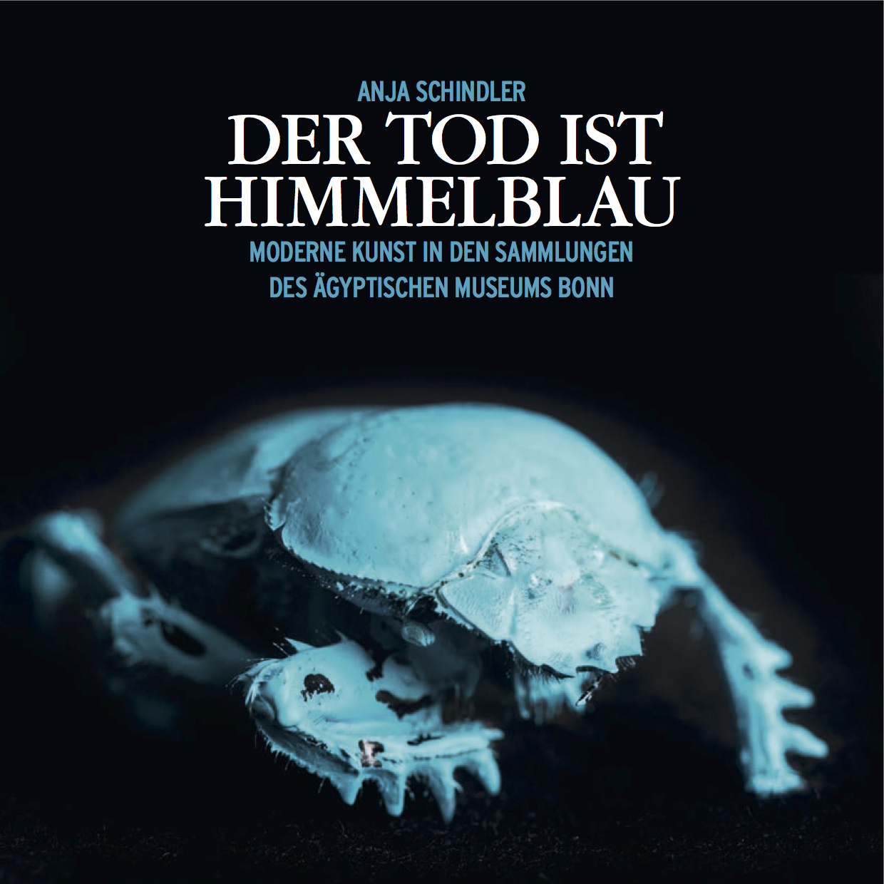 Publikationen 19 Ausstellungskatalog Der Tod ist Himmelblau 2016