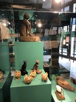 Abb. 13 Blick auf Die Tiermumien der Vitrine Tierkult (Foto F. Frank Förster)