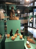 Abb. 13 Blick auf Die Tiermumien der Vitrine Tierkult (Foto F. Frank Förster)