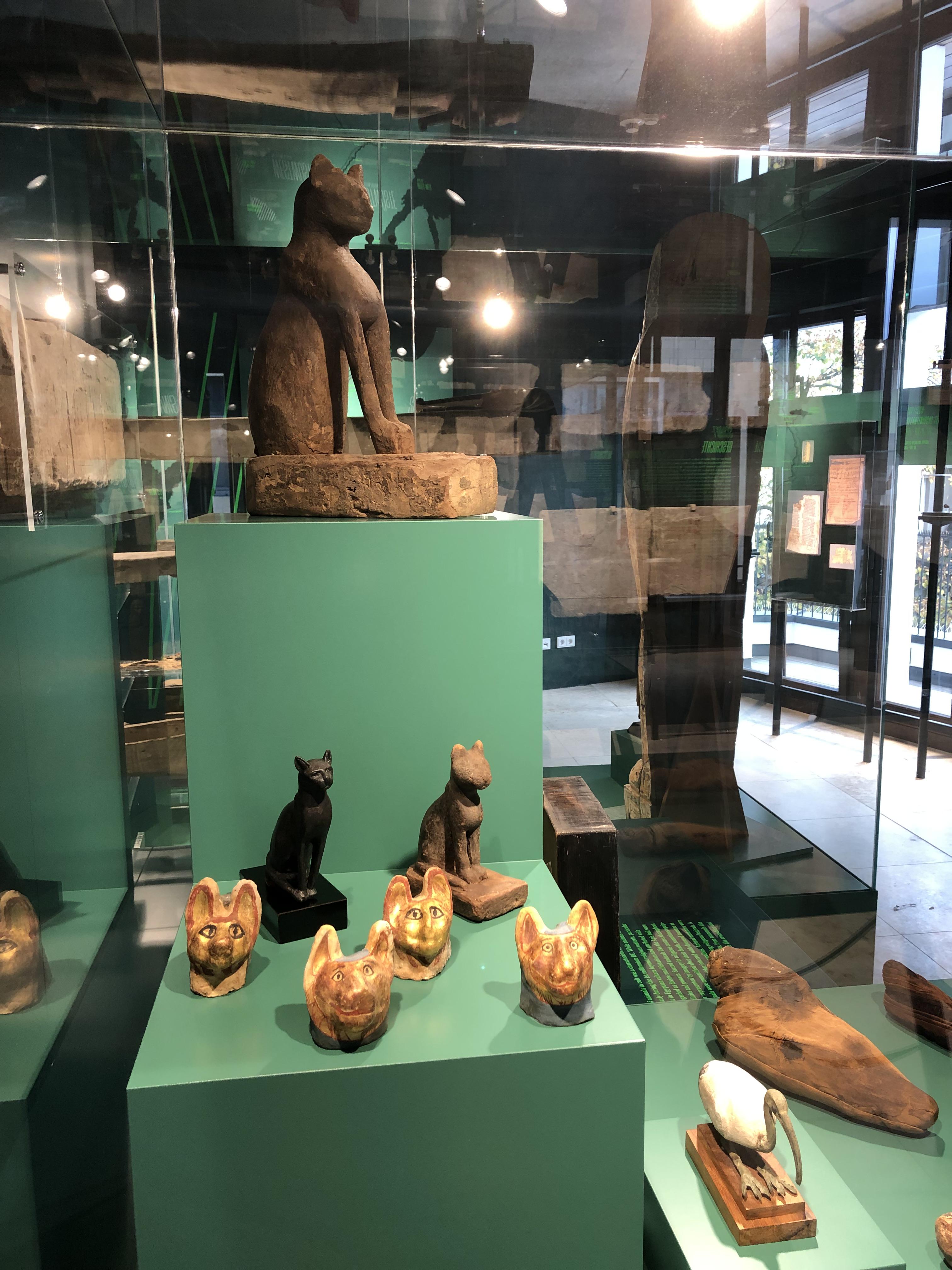 Abb. 13 Blick auf Die Tiermumien der Vitrine Tierkult (Foto F. Frank Förster)
