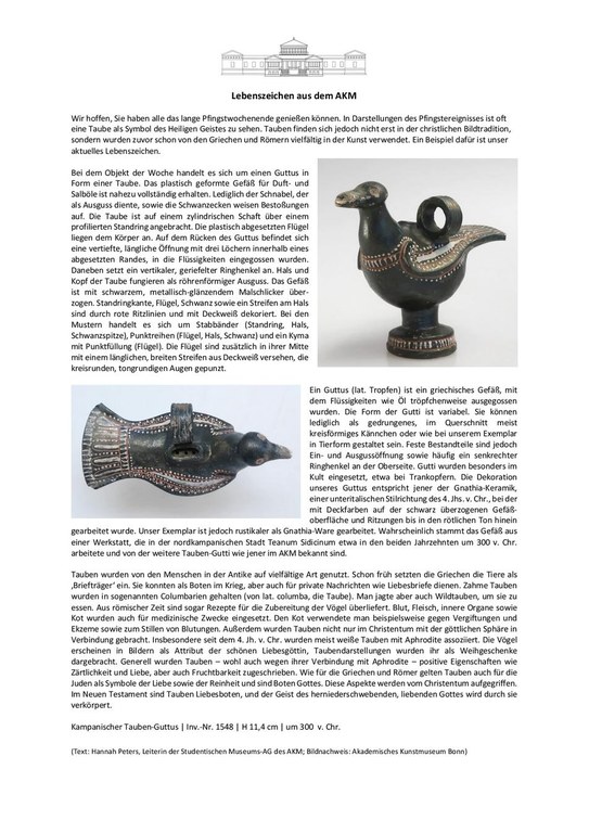 EinBlick Nr. 9: Tauben-Guttus.pdf