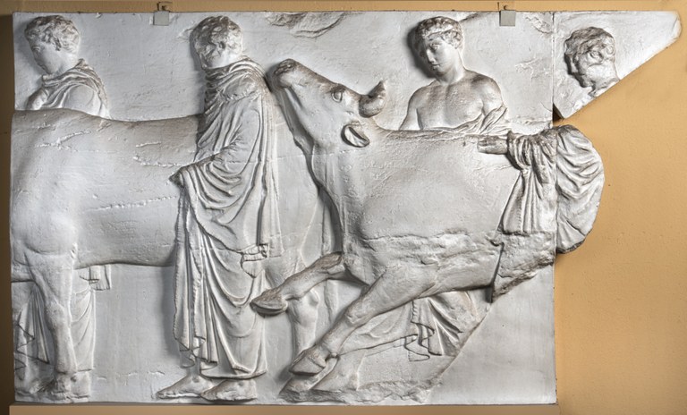 Parthenon Rinder