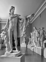 Apoll von Belvedere