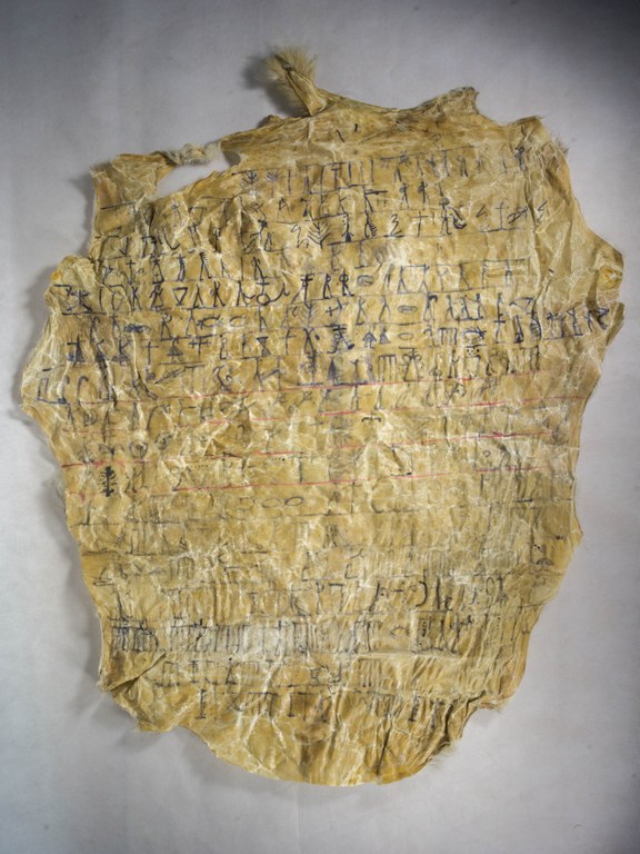 2. BASA_1137 (Sheep skin)_3-min.jpg
