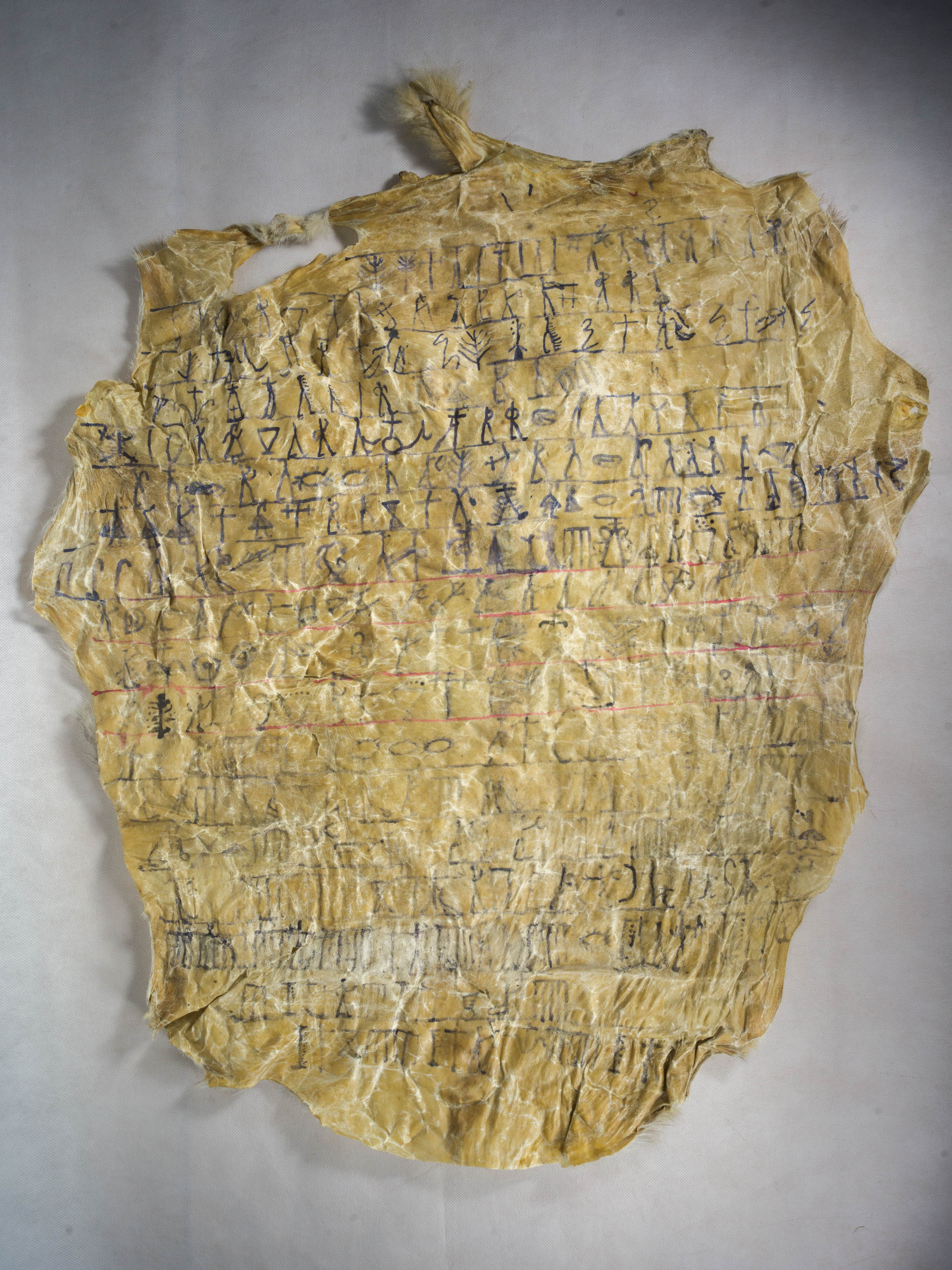 2. BASA_1137 (Sheep skin)_3-min.jpg