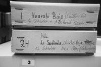 Sammlung 1