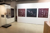 Sammlung 13