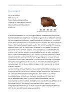 2024_01 Schaber.pdf