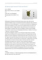 2024_02 Römer mit Beerennuppen.pdf