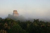 Tikal Tempel IV Nebel.jpg