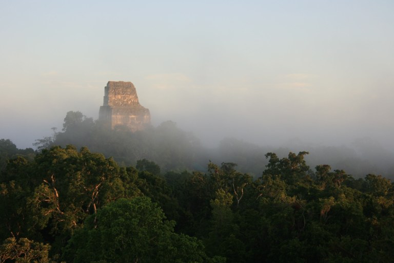 Tikal Tempel IV Nebel.jpg
